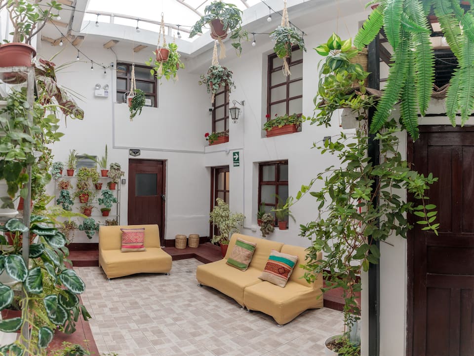 Paccay shared courtyard with plants and seating, shown in its Airbnb listing